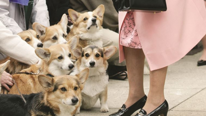  אוהבת במיוחד כלבים מגזע וולש קורגי. המלכה אליזבת. צילום: רויטרס