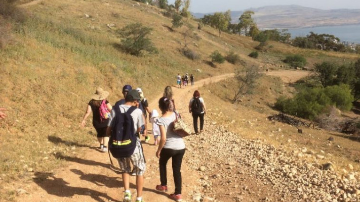 צועדים בצעדת הכנרת. צילום: רשות הכנרת