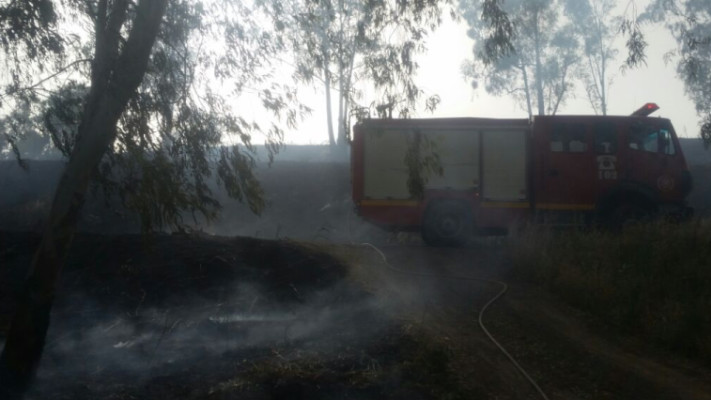 שריפה בנהר הירדן. צילום: כבאות והצלה