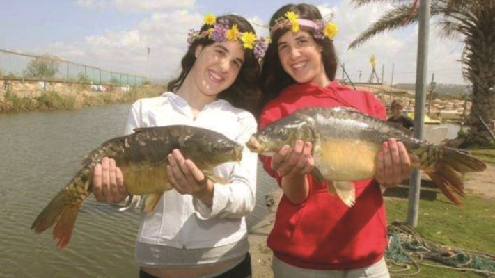 פסטיבל הקרפיון. תודו שלא חשבתם שיש כזה דבר. צילום: יח&quot;צ