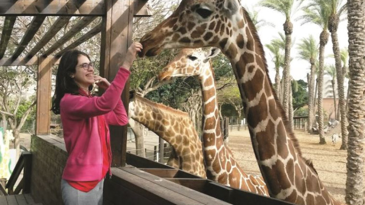 הידעתם שהג'ירפה היא בעצם מין כשר למאכל? צילום: יח&quot;צ