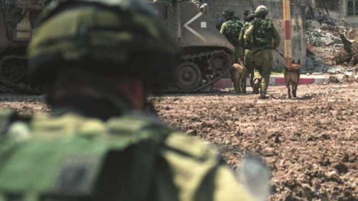 בקרב על ג'נין במהלך מבצע חומת מגן