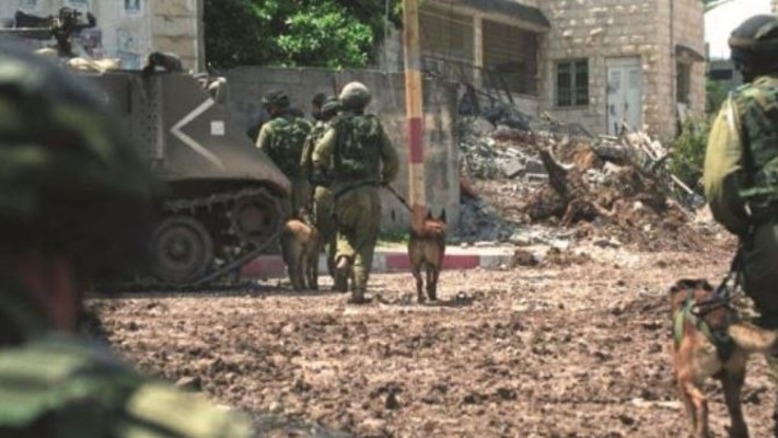 הקרב על ג'נין במהלך מבצע חומת מגן