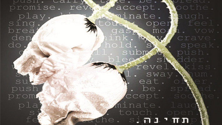 &quot;מנגינות של התמסרות&quot;. צילום: יח&quot;צ