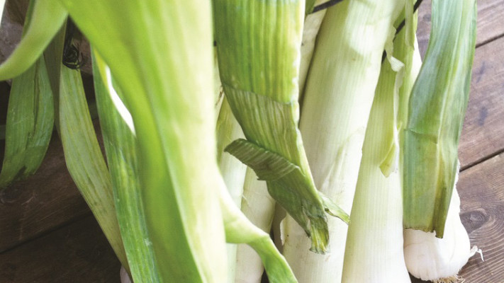 מוסיפה המון טעם, כרישה. צילום: פסקל רובין פרץ