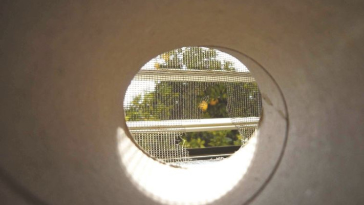 התמונה שצילם אשר אברהם. צילום: אליסיה שחף