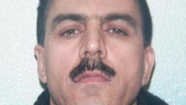 דודה של באנאז. צילום: דיילי מייל