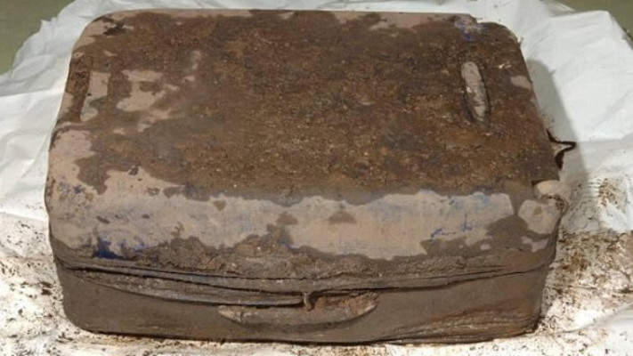 המזוודה אליה גופת באנאז הוכנסה. צילום: דיילי מייל