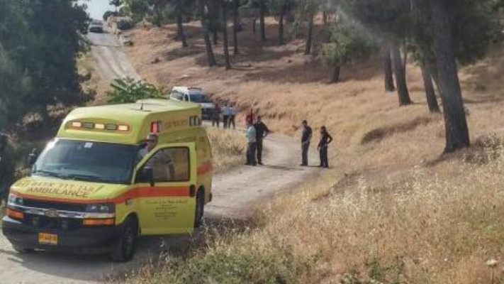 זירת פיגוע הדקירה בטיילת ארמון הנציב. צילום: דוברות מד&quot;א