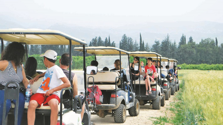 &quot;טיולי הדן&quot;