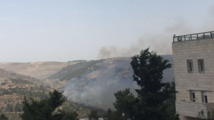 השריפה שפרצה סמוך לשכונת רמוץ. צילום: רשת ״קבוצת העיתונאים רוטרניק״