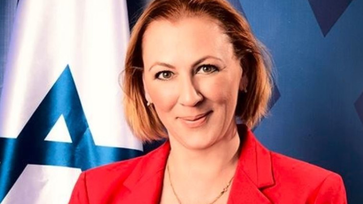 יוזמת הדיון, ח&quot;כ יוליה מלינובסקי