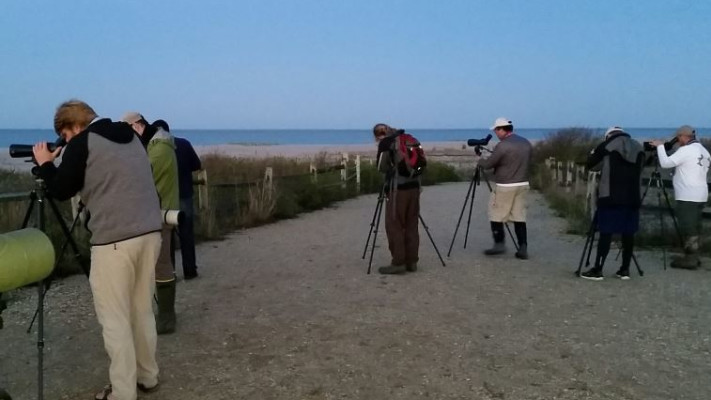 הצפרים בפעולה, בניו ג'רזי. &quot;התוצאה השלישית בטיבה בהיסטוריה&quot;