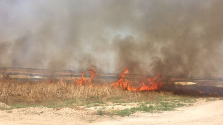 שריפה בלכיש, היום. כבישים נחסמו. צילום: דוברות המשטרה