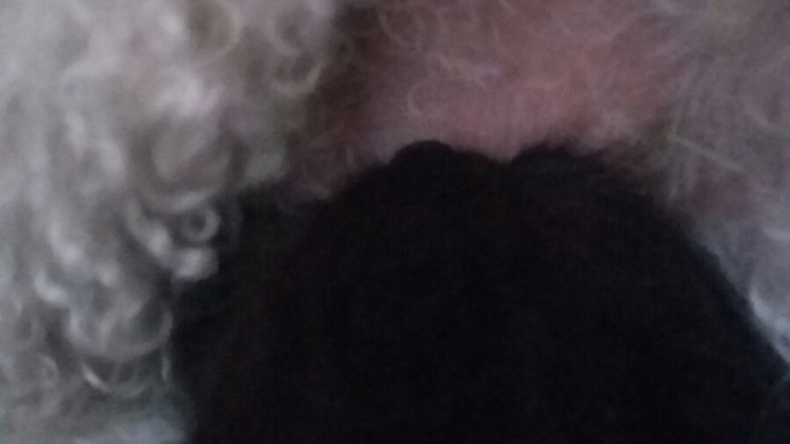 נטשה מניקה את אחד הגורים. צילום: רותם בר