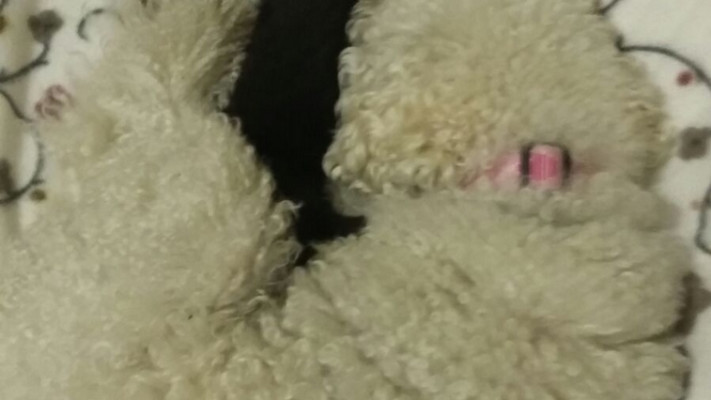 חלומות נעימים. צילום: רותם בר