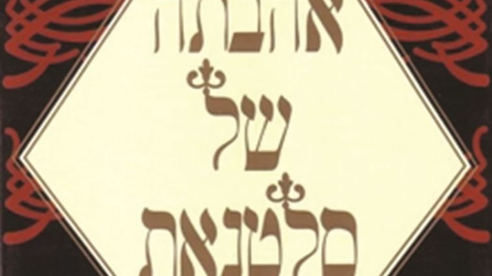 כריכת הספר &quot;אהבתה של סלטנאת&quot;