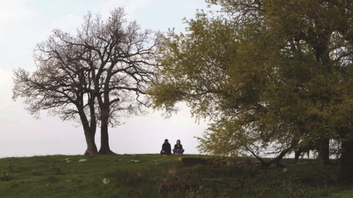 מתוך הסרט: &quot;הפטריארך&quot;. צילום: יח&quot;צ