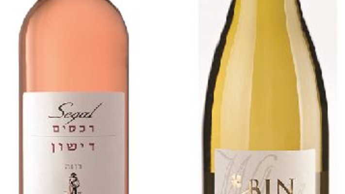 בנימינה ורוזה של סגל