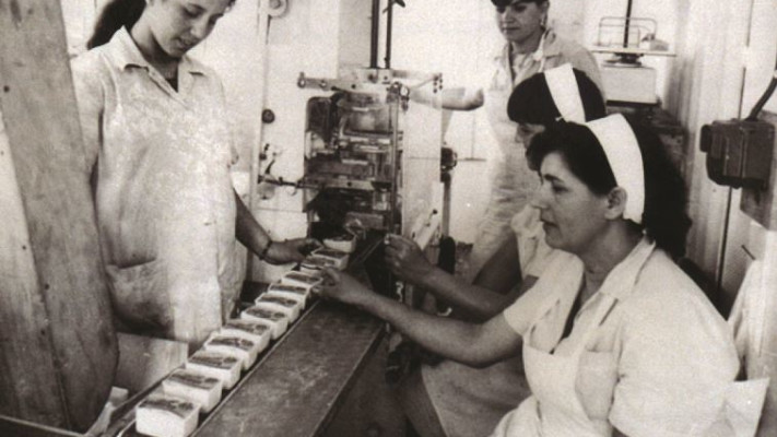 מפסי הייצור הראשונים של הגבינות. צילום: יח&quot;צ שטראוס