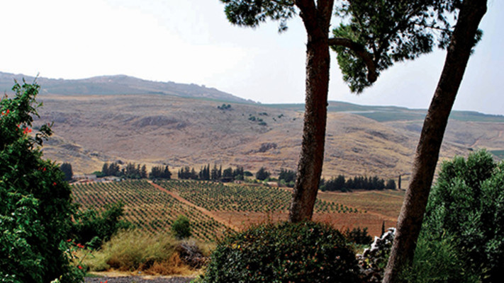 קיבוץ כפר גלעדי, נוף ממלון ''כפר גלעדי''