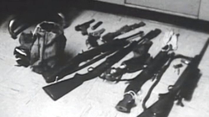 ארסנל הנשק של וויטמן. צילום מסך: יוטיוב