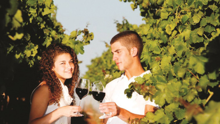 עשרה ימים מיוחדים. פסטיבל בין הכרמים. צילום: יח