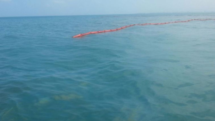 צילום: המשרד להגנת הסביבה