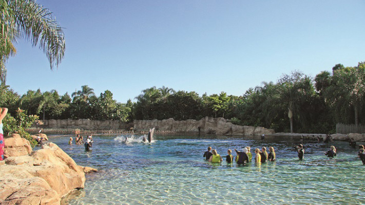 בריכת הדולפינים במפרץ התגליות. צילום: Michael Lowin CC BY-SA 2.0