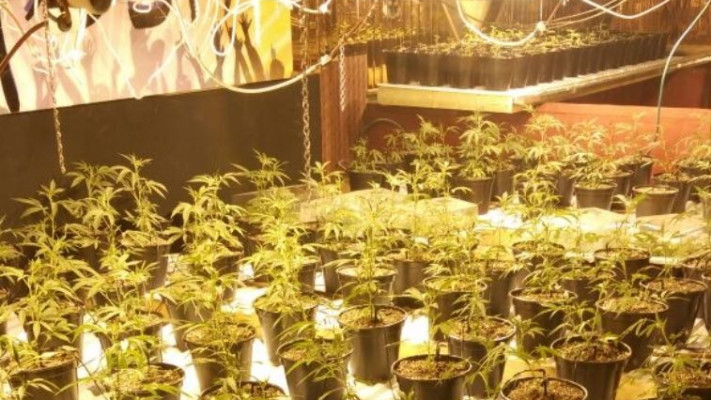 מעבדת ההידרו אותרה באולם המועדון לשעבר. צילום: חטיבת דובר המשטרה