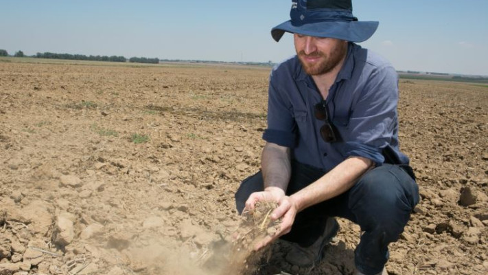 מחירי המים הם שמכתיבים מה יגדלו, נטע נהר. צילום: דייגו מיטלברג