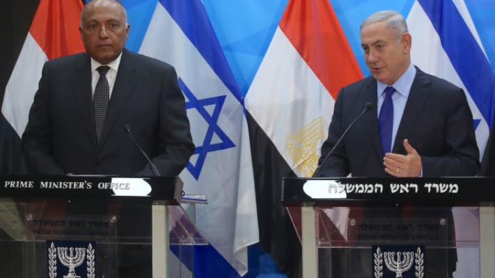 נתניהו ושוקרי. "ניתן להפוך את החזון למציאות". צילום: מרק ישראל סלם