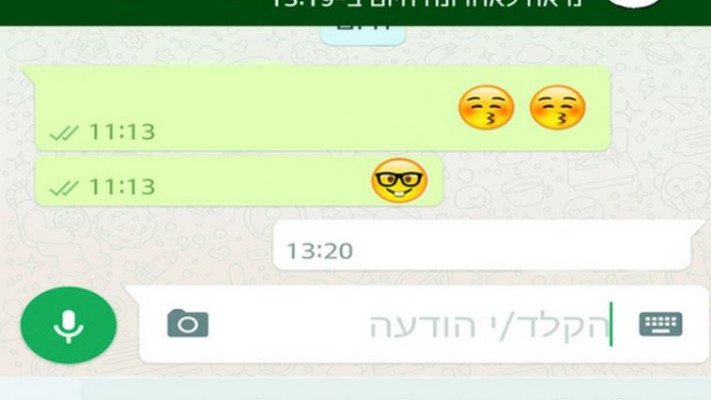 וואטסאפ. צילום מסך