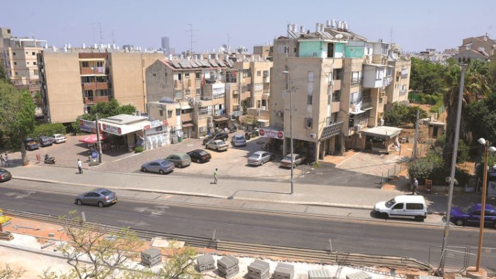 פרדס כץ. צילום: ראובן קסטרו