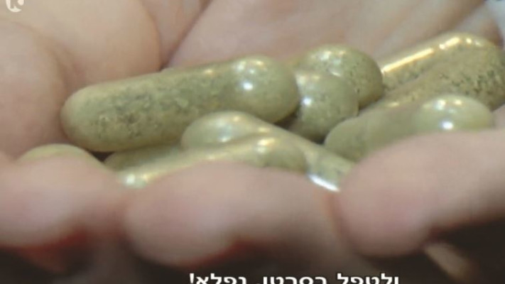 מתוך תחקיר הדיאטות