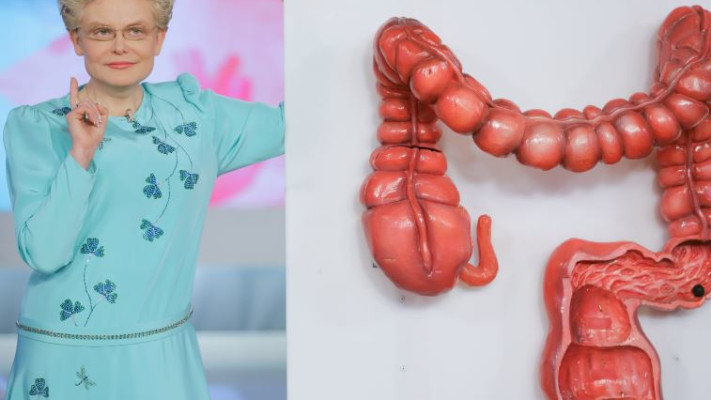 מלישבה ב&quot;לחיות בריא&quot;. צילום: סרגיי וולקוב