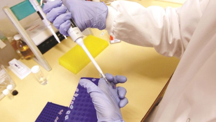 אנטיביוטיקה. צילום: רויטרס