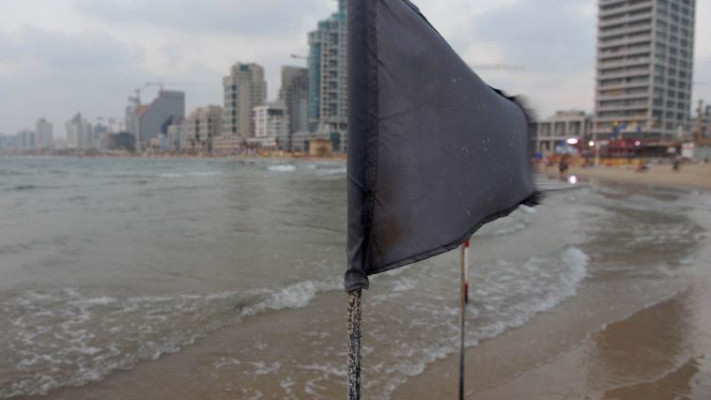 צילום: אבשלום ששוני