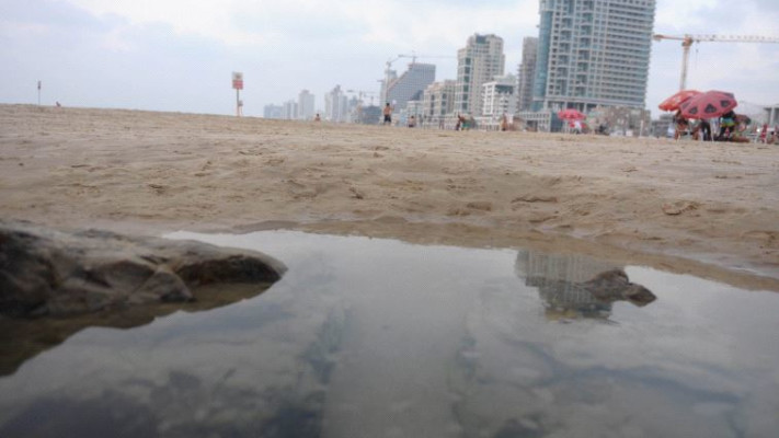 חופי תל אביב, היום. צילום: אבשלום ששוני