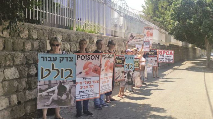 הפגנה מול צער בעלי חיים בתל אביב. צילום: מתוך עמוד הפייסבוק &quot;מחאת חירום עבור צדק לבולט&quot;