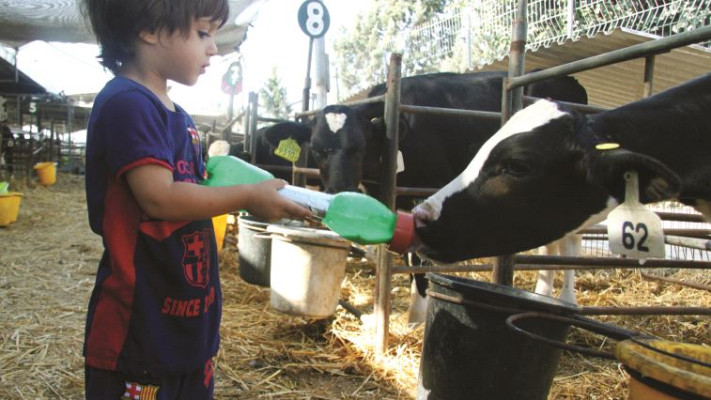 שביל החלב. צילום: מיטל שרעבי