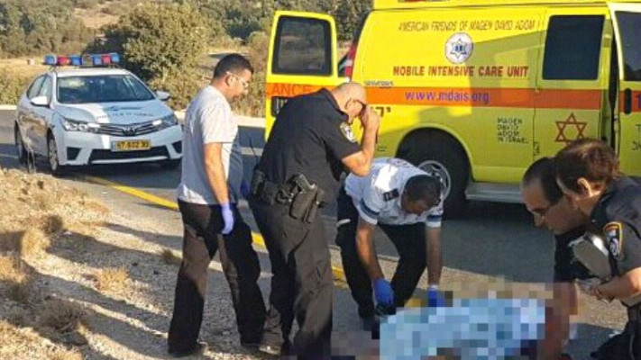 תאונת הדרכים בכביש 99. צילום: דוברות מד&quot;א