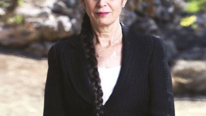 ענת ברקו (צילום: אריאל הבשור)