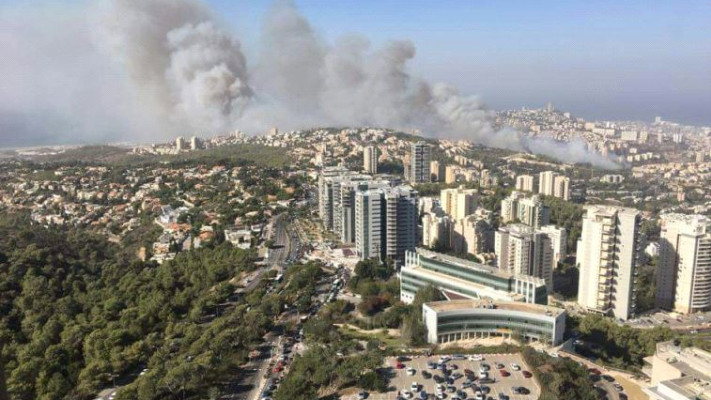 השריפה בחיפה, אזור האוניברסיטה. צילום: קובי רבינוביץ'