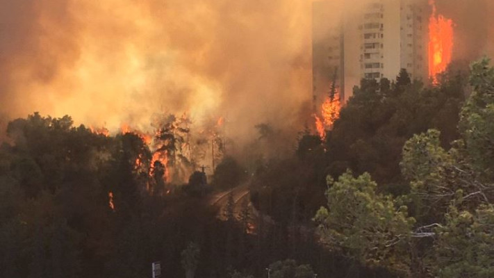 שריפה בשכונת רוממה בחיפה. צילום: יונתן הללי