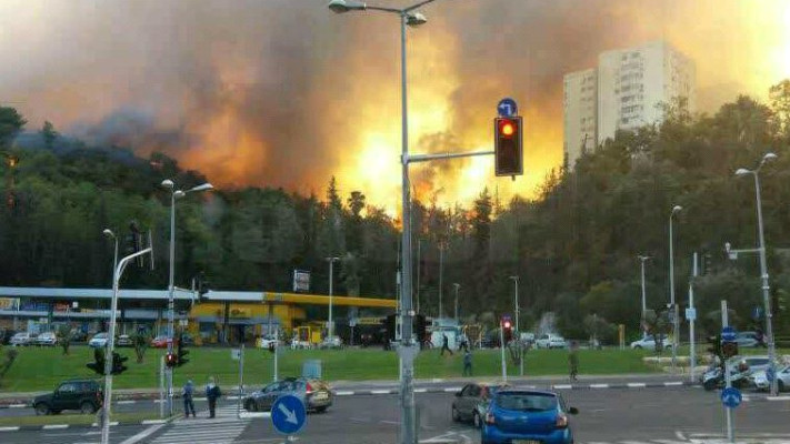 שריפה בחיפה. צילום: אבשלום ששוני