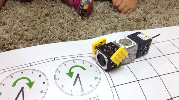 חתול רובוטי שהילדים הכינו. צילום: רויטל זילברמן