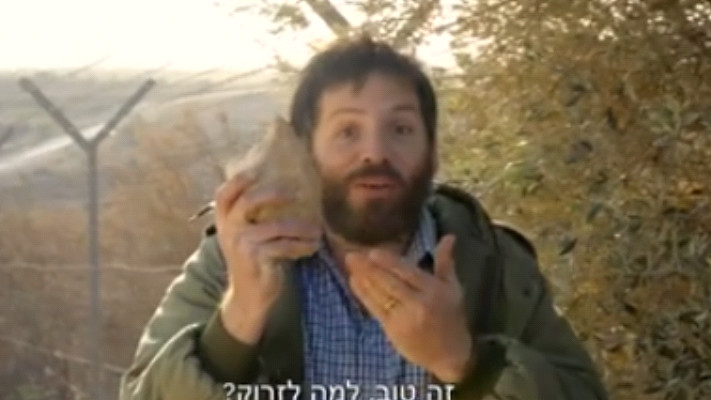 שטיין בפרסומת