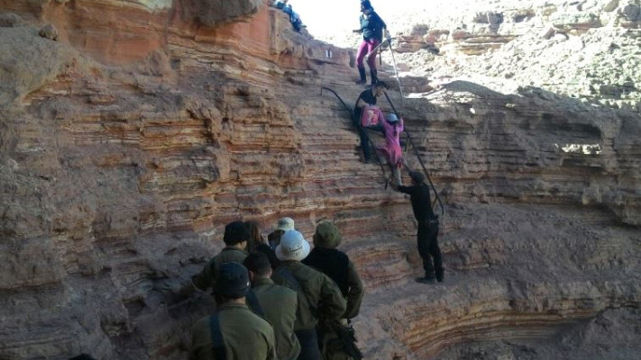 ילדי כיתה א' בטיול. צילום: אלדד דוד