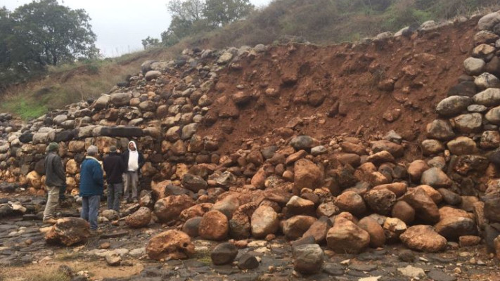 חומת האבן שהתמוטטה בתל דן. צילום: ד&quot;ר צביקה אבני, משרד החקלאות